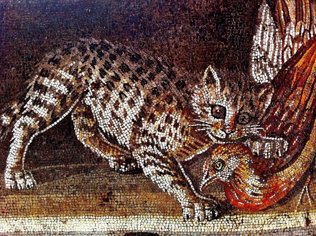 Коты на древнеримских мозаиках