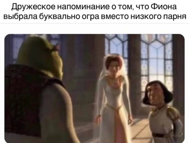 Потная гамсахурдия №7