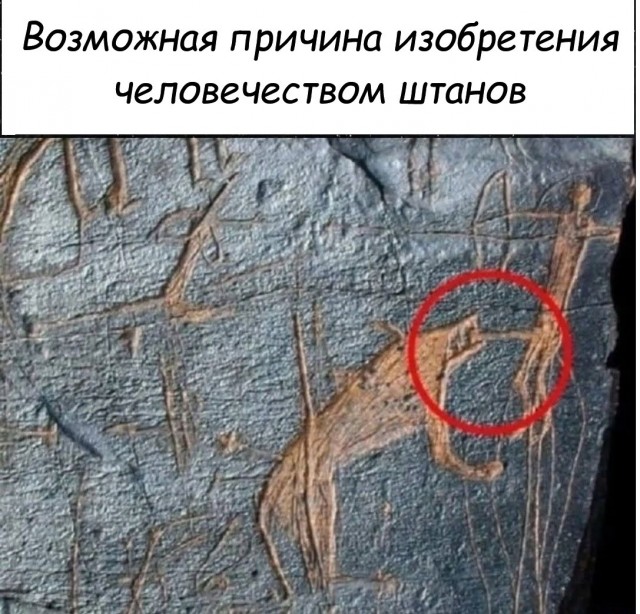 Картинки для деградации 298 (разной степени свежести)