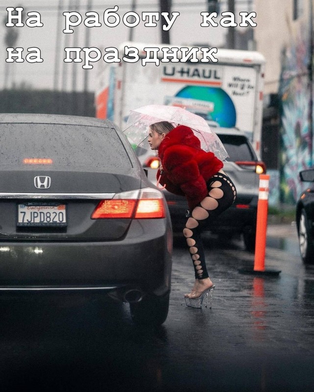 Забавные и не очень скромные картинки-39