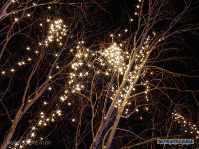 Салехард с высоты птичьего полета