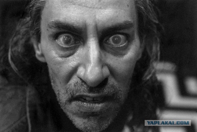 24 года назад на экраны вышел Твин Пикс.