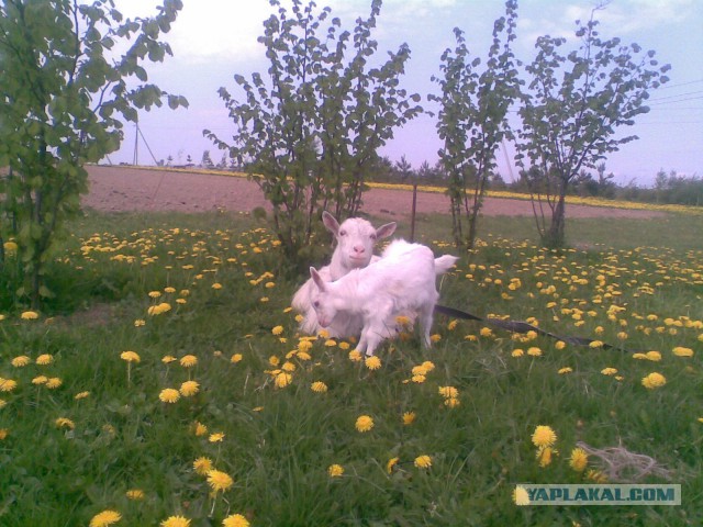 Ударные майские...