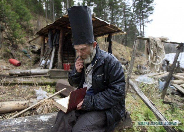 ЯП пожил..