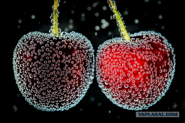 Без фотошопа