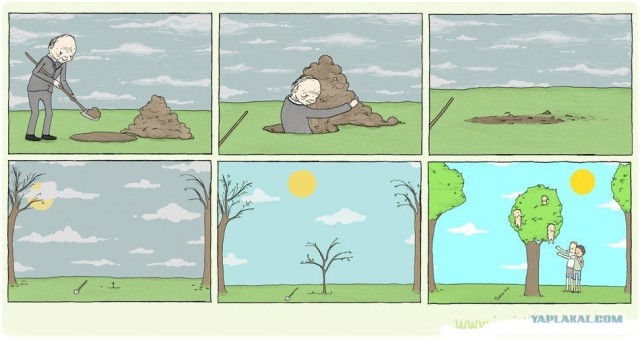 Не спешите радоваться...