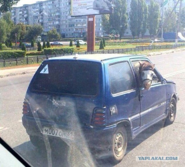 Фотографии, сделанные в нужный момент