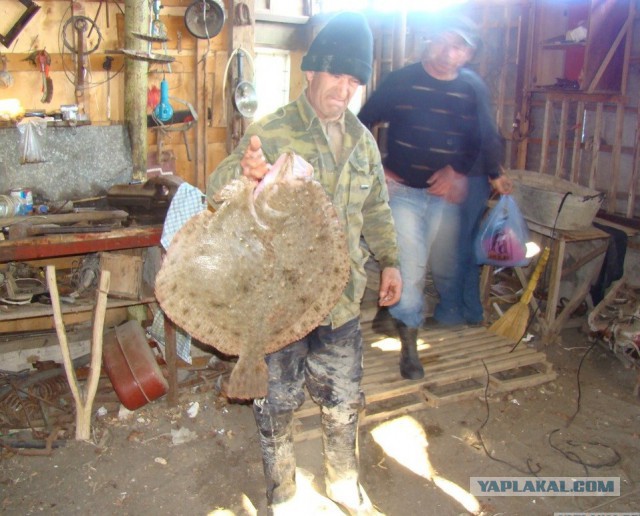 Летняя поездка в Абхазию. Через 37 лет
