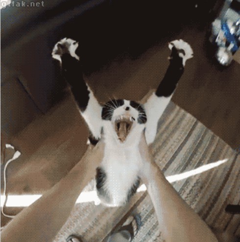 В день зарплаты