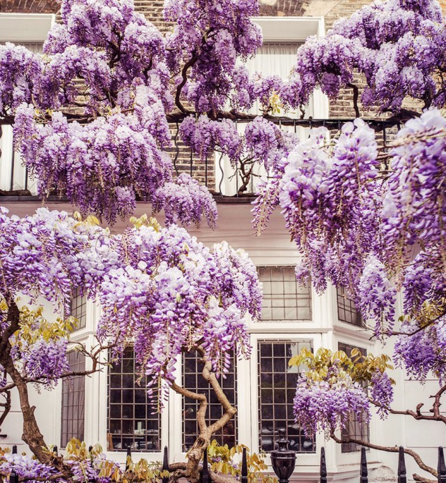 Подборка интересных и веселых фото