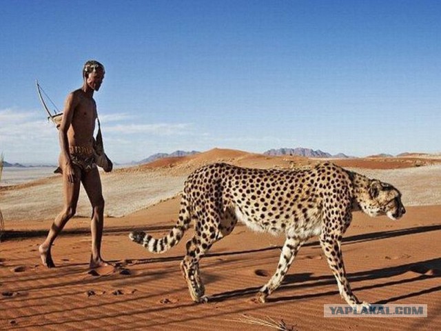 Всем нашим встречам,  увы, разлуки суждены...