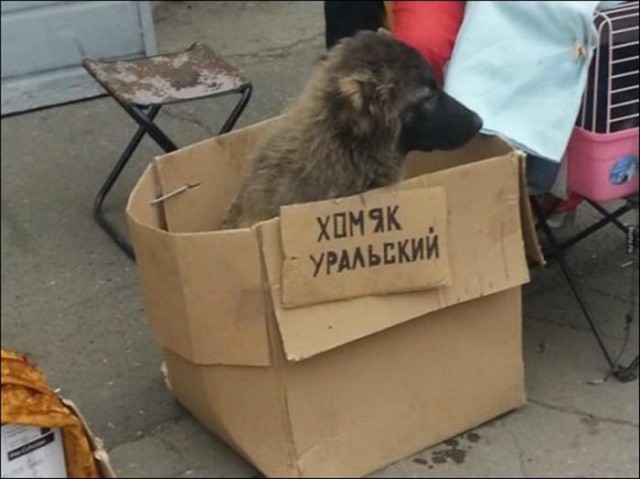 Подборка интересных и веселых картинок