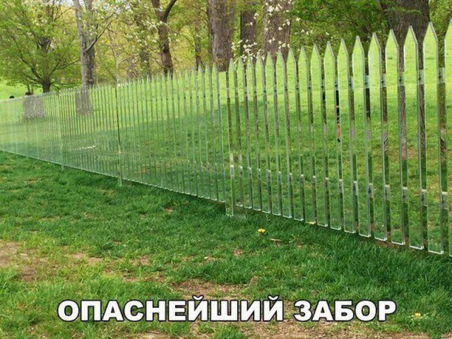 Картинки из сети