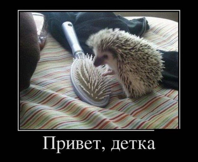 О сознании и бытии картинок пост