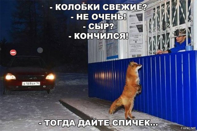 Почему бы не подеградировать, коллеги?