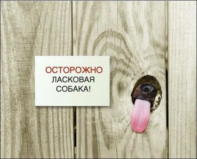 Итоги проверки пользователей