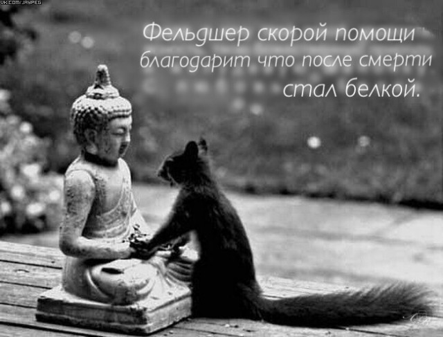 Эмигрант. Фельдшер — о том, почему медики уезжают на Запад, но возвращаются