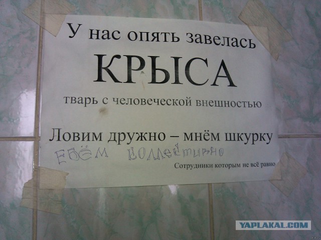 Украл деньги у ребенка в Петербурге