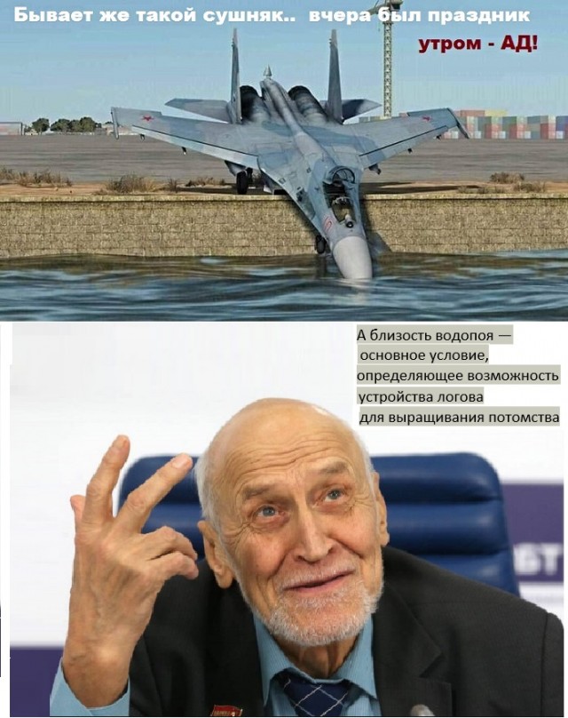Картинки с надписями и анекдоты