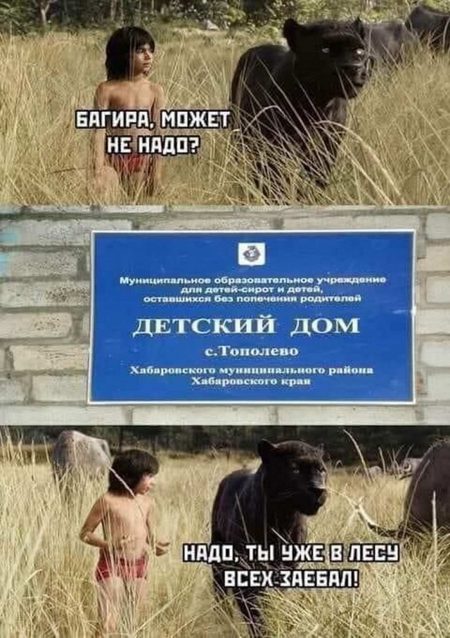 Бери шампур, губы не раскатывай и листай дальше!