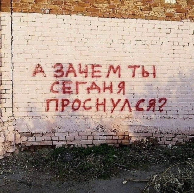 Подборка интересных и веселых картинок 20.10.19