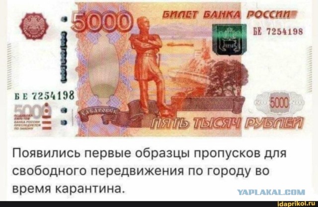 Изоляция и ограничение свободы передвижения. Законно ли без ЧС?