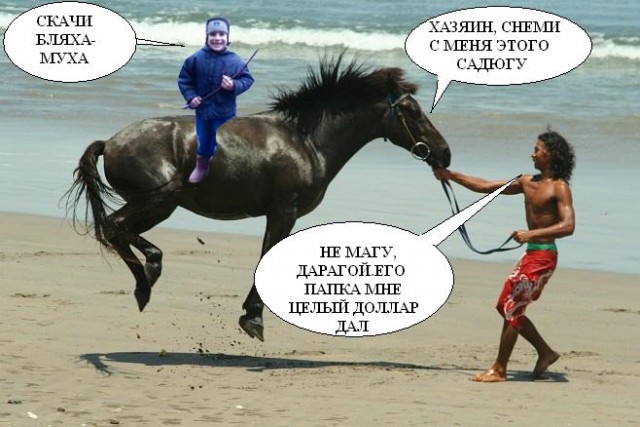 Фотожаба дня: Летающий конь