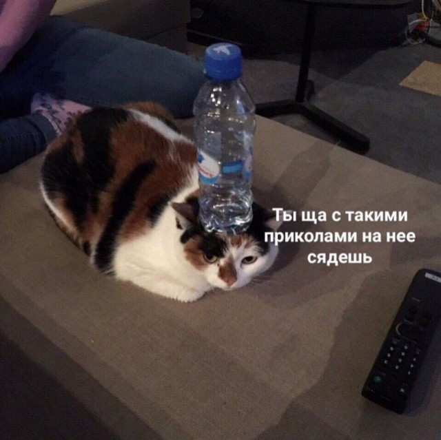 Бредзона 20.05.2020