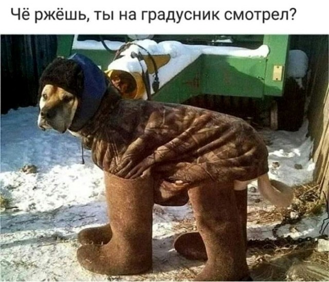 Забавные шутки, картинки и фразы из этих ваших интернетов