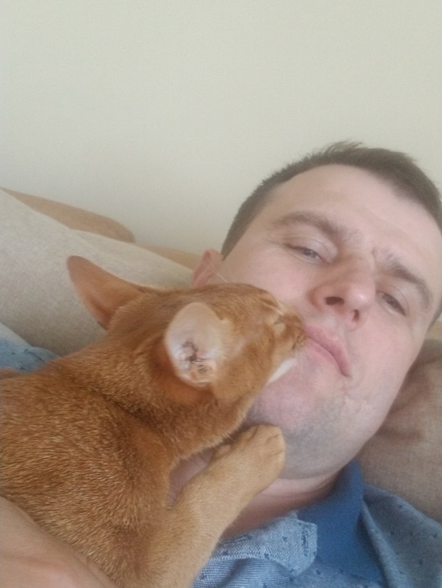 Кот и живот