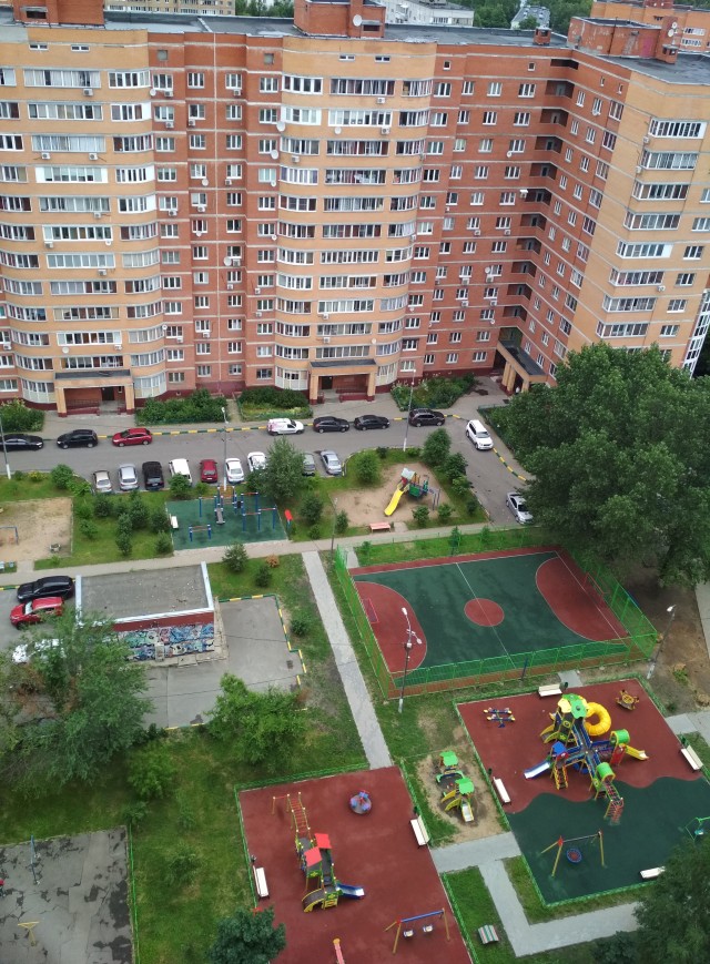 Дурацкие картинки 15.08.20