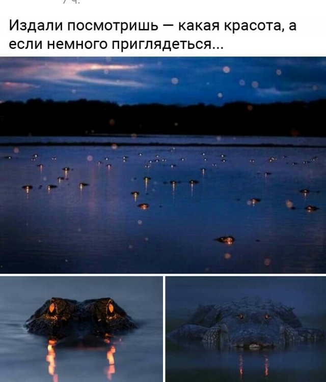 Юмор в картинках 30.08.20