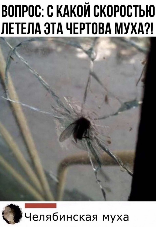 Сублимация