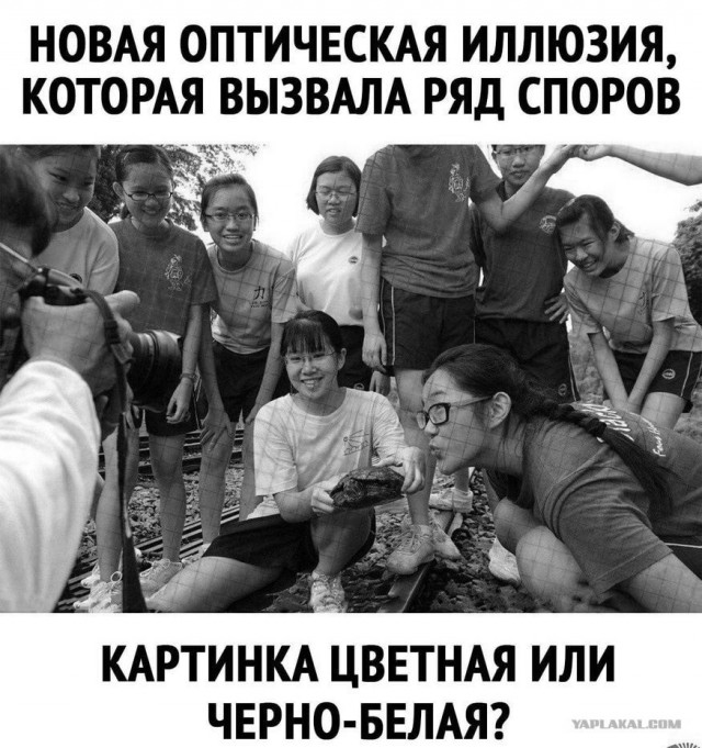 Бредзона 29.10.2020