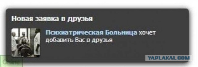 Котики бывают разные - черные, белые, и все классные