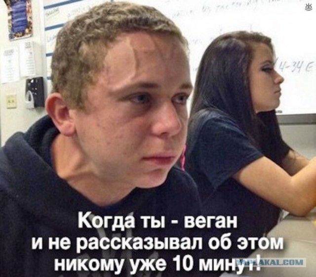 Возможен резкий рывок! Туроператоры предупредили о росте цен на российских курортах из-за закрытых границ.