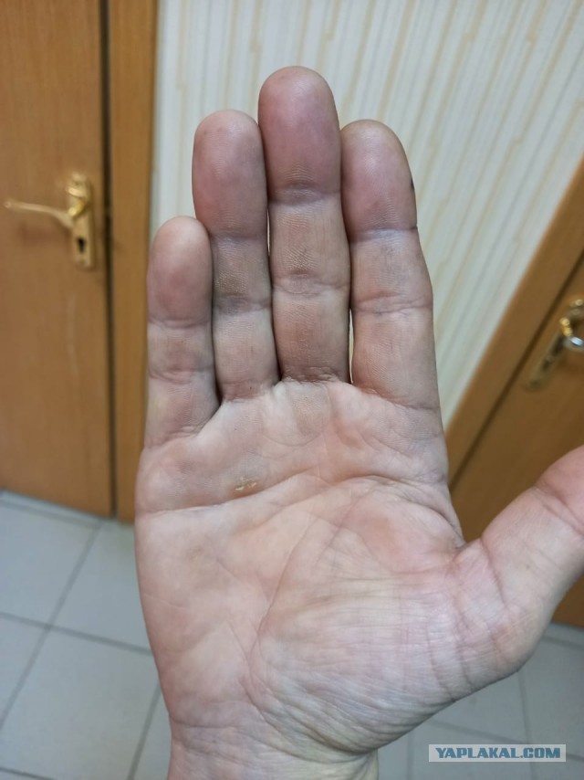 Хиромант
