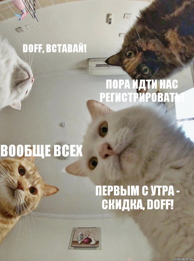 В Думу внесен законопроект об обязательной регистрации собак и кошек