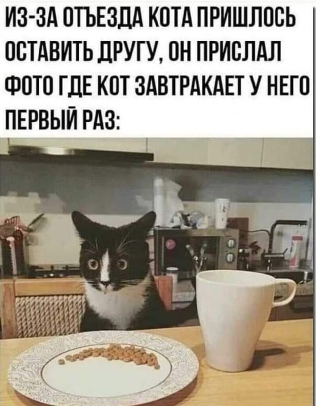 Картинки и мемы для настроения 28.04.2021