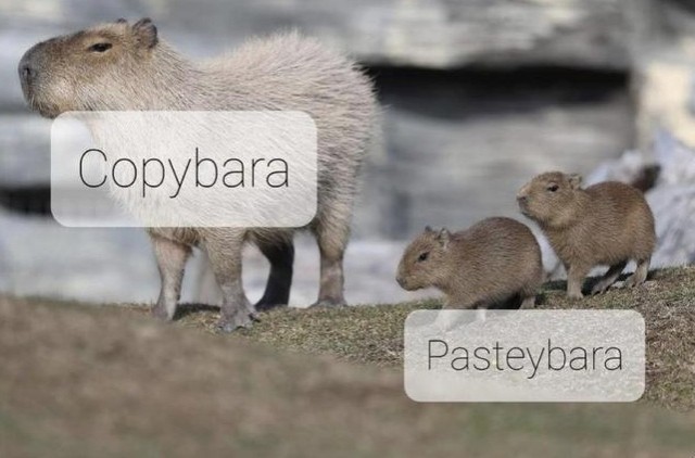 Всяческие картинки