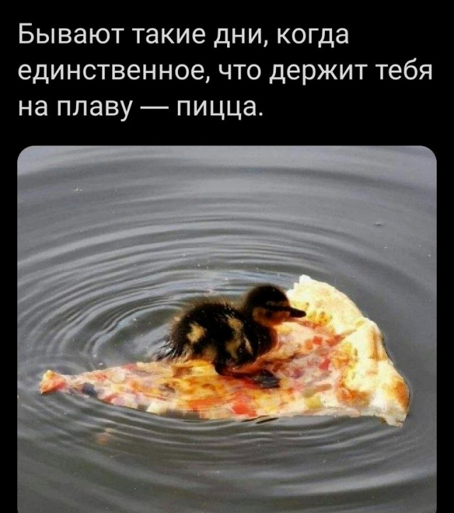 Так себе картинки 01.09.21