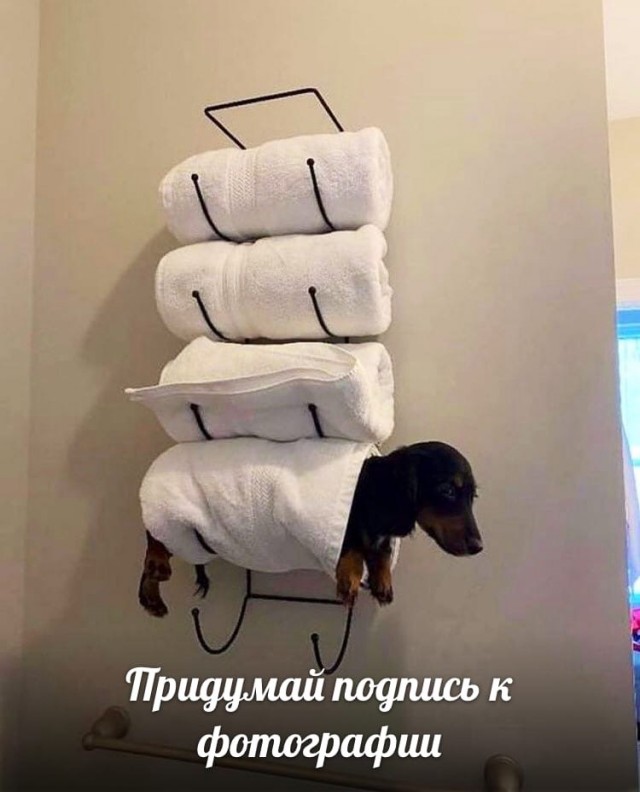 Так себе картинки 07.09.21