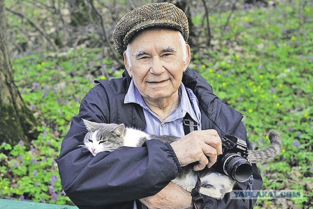 Это Вам не Малаховы