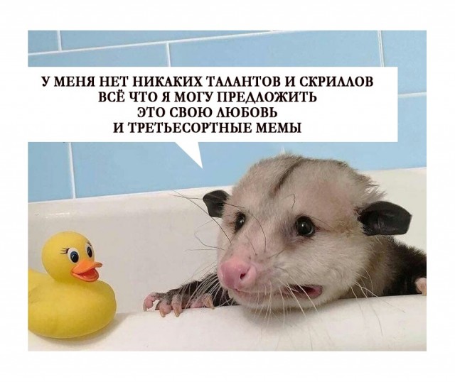 Весёлый полтишок 26.09