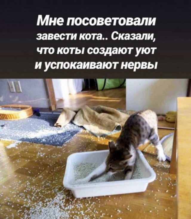 Картинки и мемы для настроения
