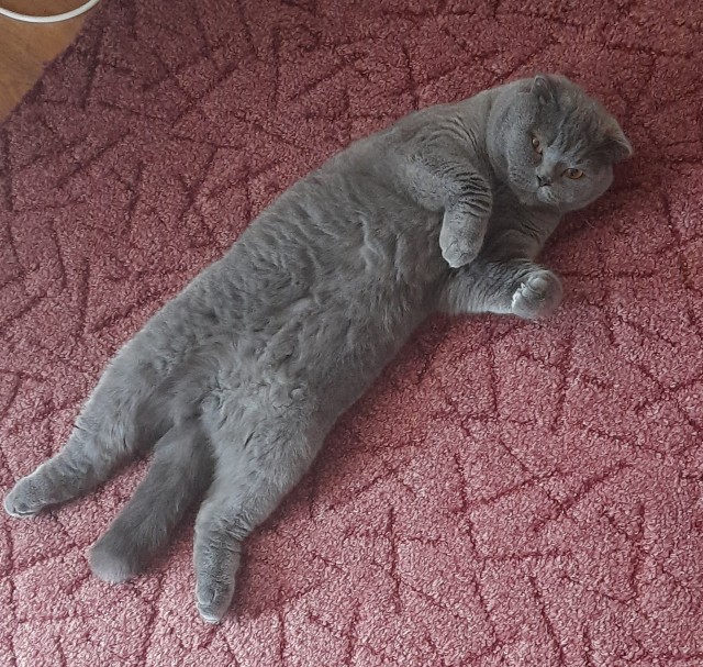 Поздравьте меня