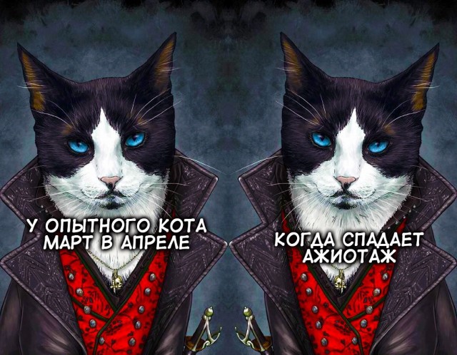 Визуальная философия