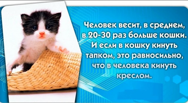 70 удивительных фактов
