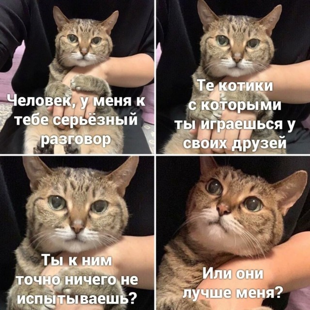 25 пикч для настроения