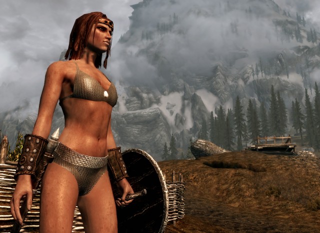 The Elder Scrolls V Skyrim